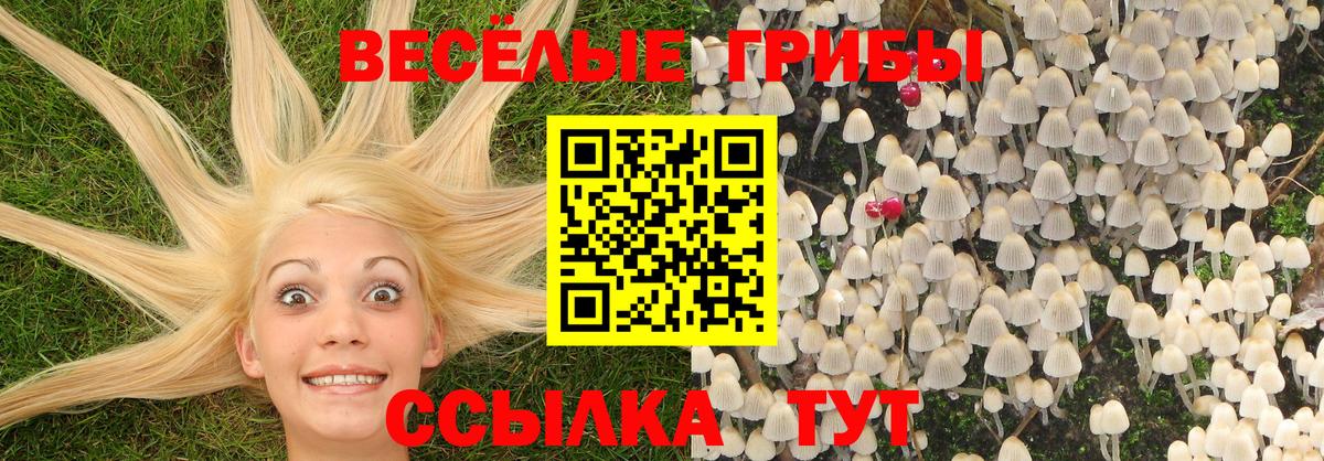COCAIN  ГАШИШ  Вход с VPN  МЕФ кристаллы  МДМА  Томск  Каннабис 